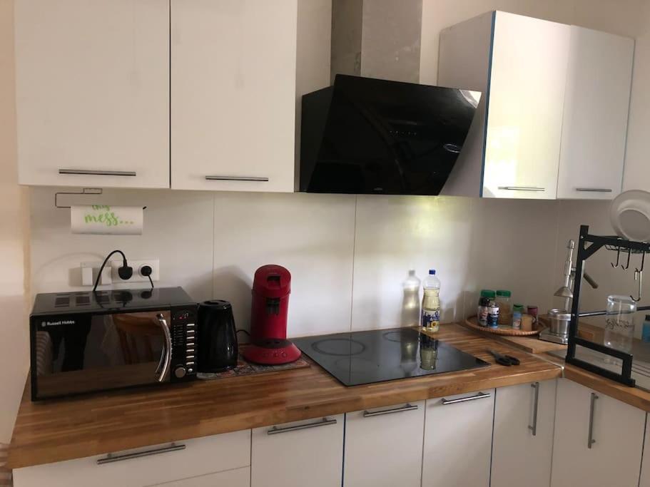 Logement Entier Entree Autonome Ch,Sdd,Cs Privatives Aussonne Екстер'єр фото