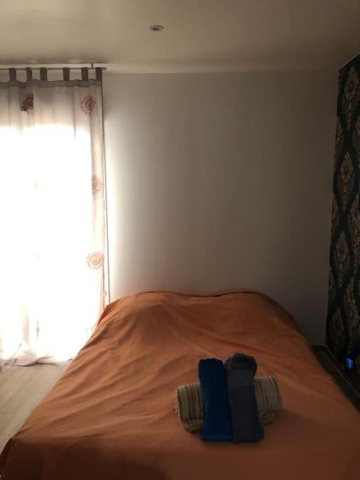 Logement Entier Entree Autonome Ch,Sdd,Cs Privatives Aussonne Екстер'єр фото