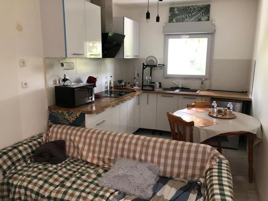 Logement Entier Entree Autonome Ch,Sdd,Cs Privatives Aussonne Екстер'єр фото
